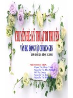 tiểu luận chuyên đề kỹ thuật di truyền vấn đề vật chuyển gen