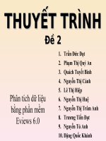 THUYẾT TRÌNH KINH TẾ LƯỢNG