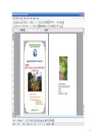 Tiểu luận môn CON NGƯỜI VÀ MÔI TRƯỜNG_Thực trạng tài nguyên rừng ở Việt Nam