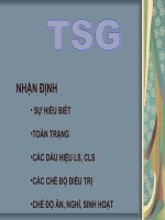 slide nghiên cứu về chăm sóc TSG