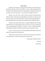 Xây dựng chiến lược quản trị quan hệ khách hàng (CRM) tại Chợ điện tử - Công ty cổ phần giải pháp phần mềm Hòa Bình