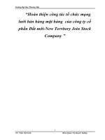 Hoàn thiện công tác tổ chức mạng lưới bán hàng mặt hàng  của công ty cổ phần Đất mới-New Territory Join Stock Company