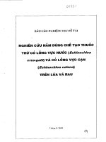 Nghiên cứu nấm dùng chế tạo thuốc sinh học trừ cỏ lồng vực nước Echinochloa Crus-galli và cỏ lồng vực cạn Echinochloa Colona trên lúa và rau