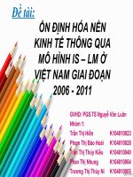 kinh tế vĩ mô ỔN ĐỊNH HÓA NỀN KINH TẾ THÔNG QUA MÔ HÌNH IS – LM Ở VIỆT NAM GIAI ĐOẠN 2006 - 2011