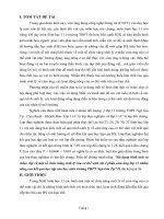 SKKN Sử dụng hình ảnh và video clip về một số chức năng sinh lý của sinh vật ở phần cảm ứng lớp 11 nhằm nâng cao kết quả học tập của học sinh trường THPT Ngô Gia Tự