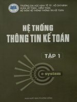 Hệ thống Thông tin kế toán. Tập 1 - Hệ thống Kế toán Việt Nam