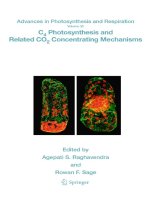 Advances in Photosynthesis and Respiration  Volume 32  C4 Photosynthesis and Related CO2 Concentrating Mec