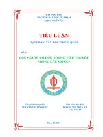 con người cô đơn trong tiểu thuyết Hồng lâu mộng