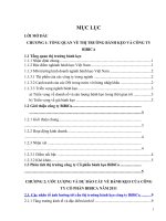 Phân tích và thảo luận phát biểu trên trong ngữ cảnh của Công ty CP BiBiCA