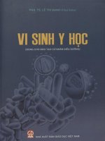 Vi sinh y học - Dùng cho đào tạo cử nhân điều dưỡng