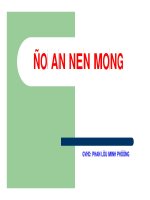 HƯỚNG DẪN ĐỒ ÁN NỀN MÓNG