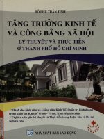 Tăng trưởng kinh tế và công bằng xã hội - Lý thuyết và thực tiễn ở thành phố Hồ Chí Minh
