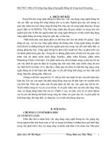 SKKN Một số kĩ năng ứng dụng công nghệ thông tin trong soạn bài giảng