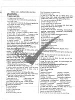 TỰ LUYỆN TOEIC 900 a p1