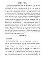 Tiểu Luận Nêu và lí giải những điểm khác nhau giữa chế định nuôi con nuôi trong Luật HN và GĐ năm 2000 và Luật