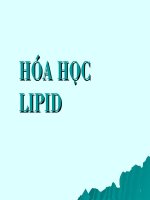 Slide bài giảng   chất độc chì