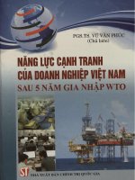 Năng lực cạnh tranh của doanh nghiệp Việt Nam sau 5 năm gia nhập WTO