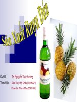 bài giảng SẢN XUẤT rượu dứa