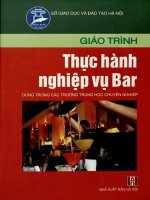 Giáo trình Thực hành nghiệp vụ bar - dùng trong các trường THCN