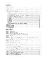 Công nghệ sản xuất rượu Tequila Mexic