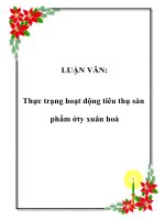 LUẬN văn thực trạng hoạt động tiêu thụ sản phẩm ở công ty xuân hoà