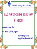 CÁC PHƯƠNG PHÁP TỔNG hợp ZALKEN