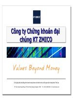 Công ty Chứng khoán đại chúng KT ZMICO