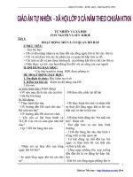 Giáo án tự nhiên xã hội lớp 3 cả năm năm học 2014   2015