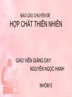 Báo cáo chuyên đề: hợp chất thiên nhiên(FLAVONOID )
