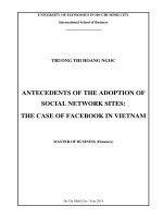 Antecedents of the adoption of social network sites the case of facebook in viet nam