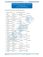 Hòa hợp chủ ngữ vị ngữ  cô mai phương