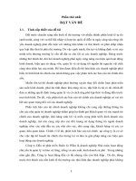 Phân tích báo cáo tài chính tại công ty đầu tư phát triển Buôn Ja Wầm