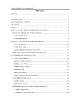 Tiểu luận Chuyên đề chuyển mạch Routing VoIP