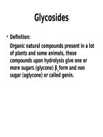 Slide bài giảng  Tìm hiểu về   glycosides