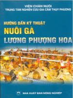 hướng dẫn kỹ thuật nuôi gà lương phượng hoa