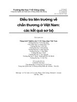 Điều tra liên trường về chấn thương ở việt nam các kết quả sơ bộ