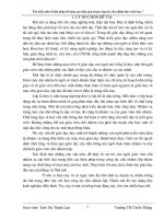 skkn tìm hiểu một số biện phát để nâng cao hiệu quả trong công tác chủ nhiệm lớp ở tiểu học A Hoàng Nam