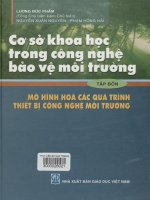 Cơ sở khoa học trong công nghệ bảo vệ môi trường - Tập 4. Mô hình hóa các quá trình thiết bị công nghệ môi trường