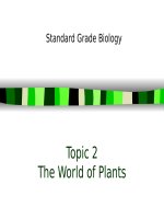 presentation about Making food