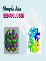 Slide bài giảng   CHUYỂN hóa HEMOGLOBIN