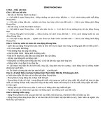 Soạn bài ĐỘNG PHONG NHA