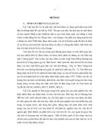 Đời sống văn hoá của cư dân óc eo ở tây nam bộ (qua tư liệu khảo cổ học  luận án tiến sỹ văn hóa học