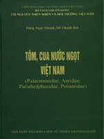 Tôm, cua nước ngọt Việt Nam - Palaemonidae, Atyidae, Parathelphusidae, Potamidae - (Sách chuyên khảo)