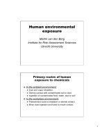 Human exposure through the environment 2010