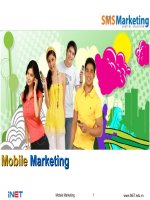 Thuyết trình về Mobile marketing