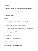 Chuyên Đề Luyện nói về quan sát, tưởng tượng, so sánh và nhận xét trong văn miêu tả