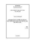 Luận văn: Đề tài giải pháp nâng cao hiệu quả đầu tư phát triển kết cấu hạ tầng thương mại (hệ thống chợ)