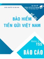 Báo cáo nhóm đề tài: Bảo hiểm tiền gửi Việt Nam