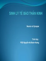 sinh lý tế bào thần kinh ở người