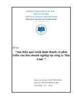 tìm hiểu quá trình hình thành và phát triển văn hóa doanh nghiệp tại công ty Mai Linh